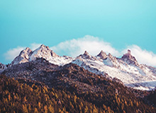 bob半岛体育app下载-德甲6队全员晋级淘汰赛，0比6的勒夫又被扇了6耳光